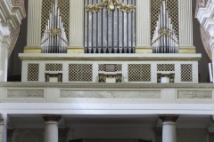 IMG_8730