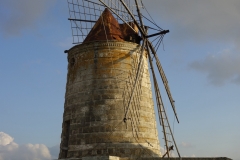 DSC1621